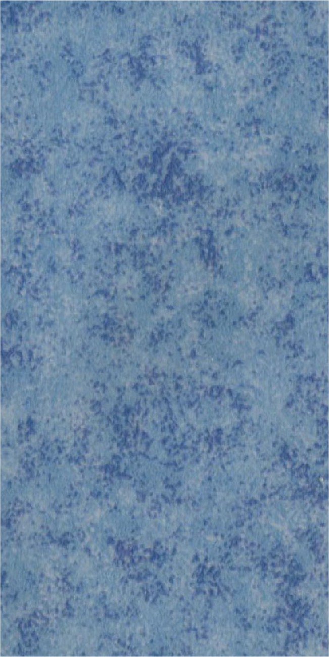 Commercial Heterogeneous Vinyl Sheet SF-12509